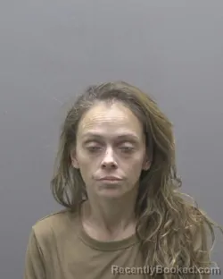 Mugshot of CHRISTINA DENISE JOHNSTON