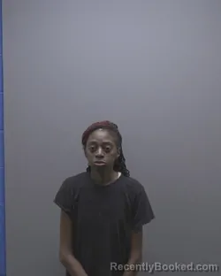 Mugshot of LADONNA EDWINA HAWKINS booked in Alamance County, North Carolina on April 22, 2026