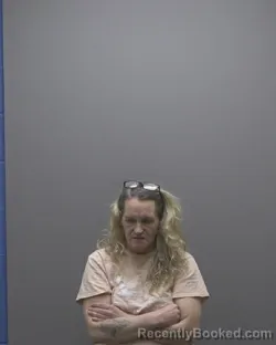 Mugshot of MEGAN ANDREWS DICKERSON