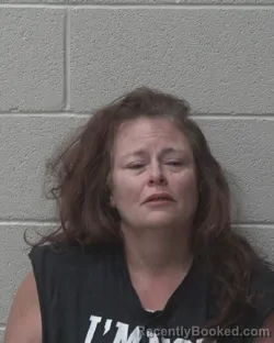 Mugshot of AIMEE JO COOK booked in Alexander County, North Carolina on June 5, 2026