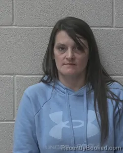 Booking photo from Alexander County, North Carolina