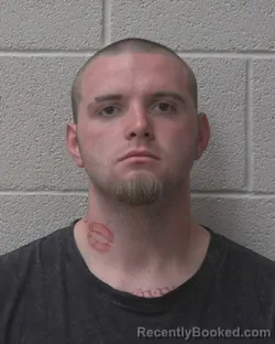 Mugshot of AIDEN LEE BREWSTER booked in Alexander County, North Carolina on June 20, 2026