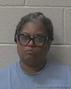 Mugshot of ERIN DENISE ROBERTS booked in Alexander County, North Carolina on March 26, 2026