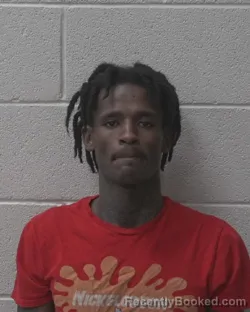 Mugshot of MELAKU SHALLA BORLASE booked in Alexander County, North Carolina on June 20, 2026