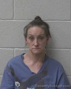 Mugshot of AMANDA JANE MENSCER booked in Alexander County, North Carolina on May 2, 2026
