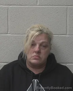 Mugshot of NIKKI TONYA HORTON