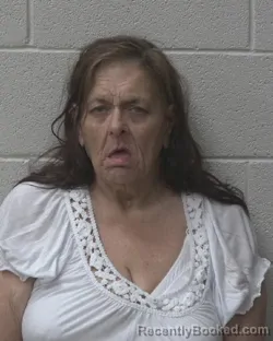 Mugshot of JANET ROGERS PINKERTON booked in Alexander County, North Carolina on April 17, 2026