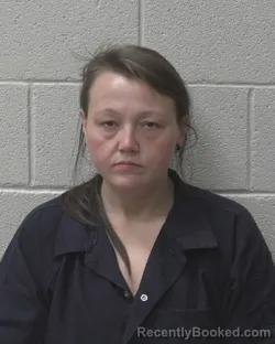 Booking photo from Alexander County, North Carolina