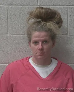 Booking photo from Alexander County, North Carolina