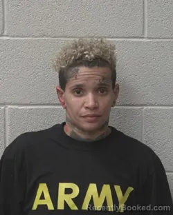 Mugshot of VIVIANNA MARIE COX booked in Alexander County, North Carolina on April 22, 2026