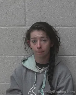 Mugshot of HEATHER LEEANNE HARDING booked in Alexander County, North Carolina on May 2, 2026