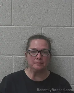 Mugshot of MICHELLE CATHERINE HARRIS booked in Alexander County, North Carolina on June 14, 2026