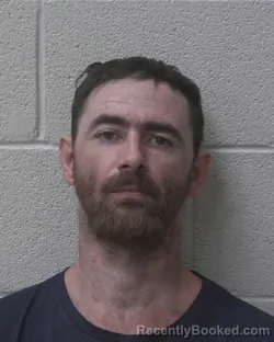 Mugshot of JAMES EDWARD VAN WERT booked in Alexander County, North Carolina on July 17, 2026
