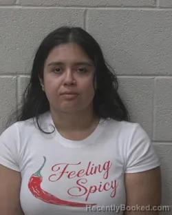 Mugshot of BRIANNA MARLENE SANDOVAL MENDOZA booked in Alexander County, North Carolina on July 25, 2026