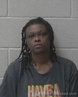 Mugshot of Breanna Natori Fowler booked in Alexander County, North Carolina on August 10, 2026
