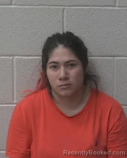Mugshot of Ana Ornelas booked in Alexander County, North Carolina on August 12, 2026