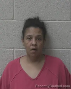 Mugshot of Jacqueline Michelle Stinson booked in Alexander County, North Carolina on August 27, 2026