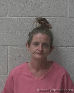 Mugshot of Anna Chrisine Settlemyre booked in Alexander County, North Carolina on August 27, 2026