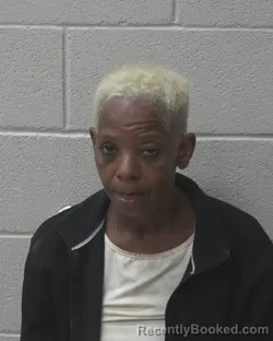 Mugshot of Latasha Evette Gray booked in Alexander County, North Carolina on October 14, 2026
