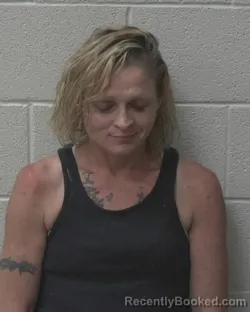 Mugshot of SHANNON RENEE CRABTREE booked in Alexander County, North Carolina on April 16, 2026