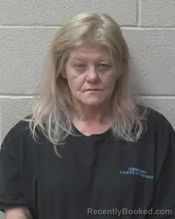 Mugshot of STEPHAINE ZEIMER THOMAS booked in Alexander County, North Carolina on July 15, 2026