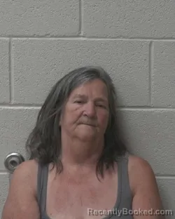 Mugshot of Marcia Ann Young booked in Alexander County, North Carolina on September 18, 2026