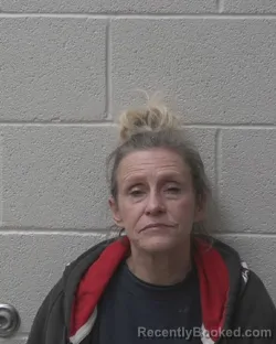 Mugshot of ERICA SHREWSBURY DAGENHART