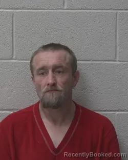 Mugshot of DAVID WAYNE MECIMORE