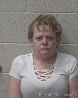 Mugshot of BRIGETTE NICOLE WALKER booked in Alexander County, North Carolina on April 22, 2026