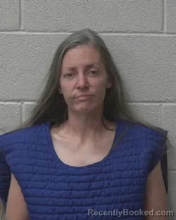 Mugshot of STACY DAWN BARNES booked in Alexander County, North Carolina on March 28, 2026