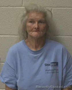 Booking photo from Alexander County, North Carolina