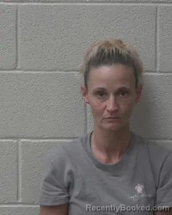 Mugshot of MARIA LYNN MECIMORE booked in Alexander County, North Carolina on June 5, 2026