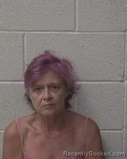 Mugshot of Sheila Ann Harrington booked in Alexander County, North Carolina on August 6, 2026