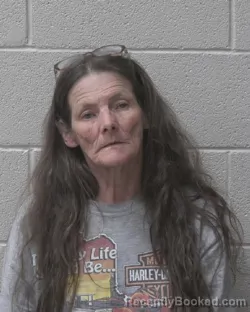 Mugshot of MARY LOUISE MARTIN booked in Alexander County, North Carolina on March 19, 2026