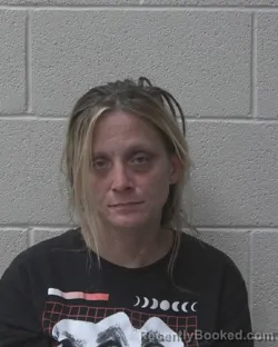 Mugshot of HEATHER MICHELLE HARRIS booked in Alexander County, North Carolina on June 19, 2026