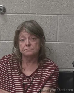 Mugshot of BETTY CARLL PHELPS booked in Alexander County, North Carolina on May 13, 2026