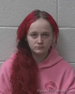 Mugshot of ELIZABETH SHAYE CLINE