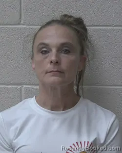 Mugshot of Amanda Rae Collins booked in Alexander County, North Carolina on September 29, 2026