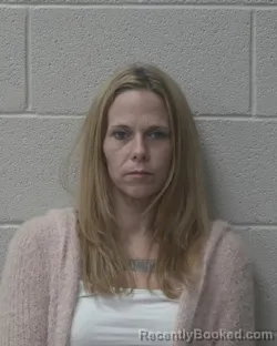 Mugshot of Teri Michelle Pitts booked in Alexander County, North Carolina on October 30, 2026
