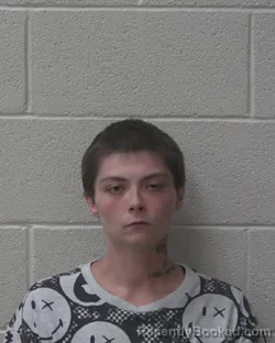 Mugshot of BRIANNA FAYE BOUGHNER booked in Alexander County, North Carolina on June 12, 2026