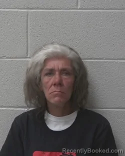 Mugshot of CYNTHIA LOUISE HARRIS booked in Alexander County, North Carolina on May 4, 2026