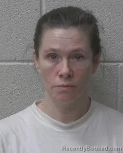 Mugshot of SARAH NOEL DAVIS booked in Alexander County, North Carolina on March 27, 2026