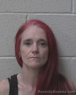 Mugshot of MISTY ELAINE GRIFFIN booked in Alexander County, North Carolina on May 8, 2026