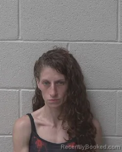 Mugshot of LEAH MICHELE DOWNER booked in Alexander County, North Carolina on June 29, 2026