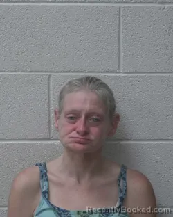 Mugshot of Jennifer Marie Menscer booked in Alexander County, North Carolina on August 3, 2026