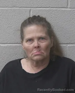 Mugshot of DIANA HALLOWAY BEARFIELD booked in Alexander County, North Carolina on June 28, 2026