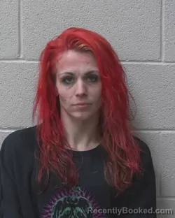 Mugshot of CHASITY NOVELLA HINSON booked in Alexander County, North Carolina on March 19, 2026