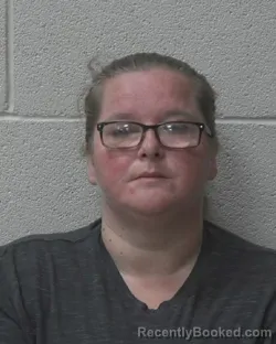 Mugshot of LEE HOUSE PRIDGEN booked in Alexander County, North Carolina on March 27, 2026