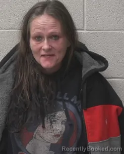 Mugshot of SUSAN APRIL SILVA