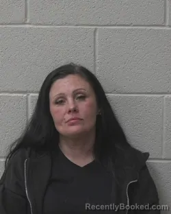 Mugshot of Crystal Lynne Newton booked in Alexander County, North Carolina on October 25, 2026